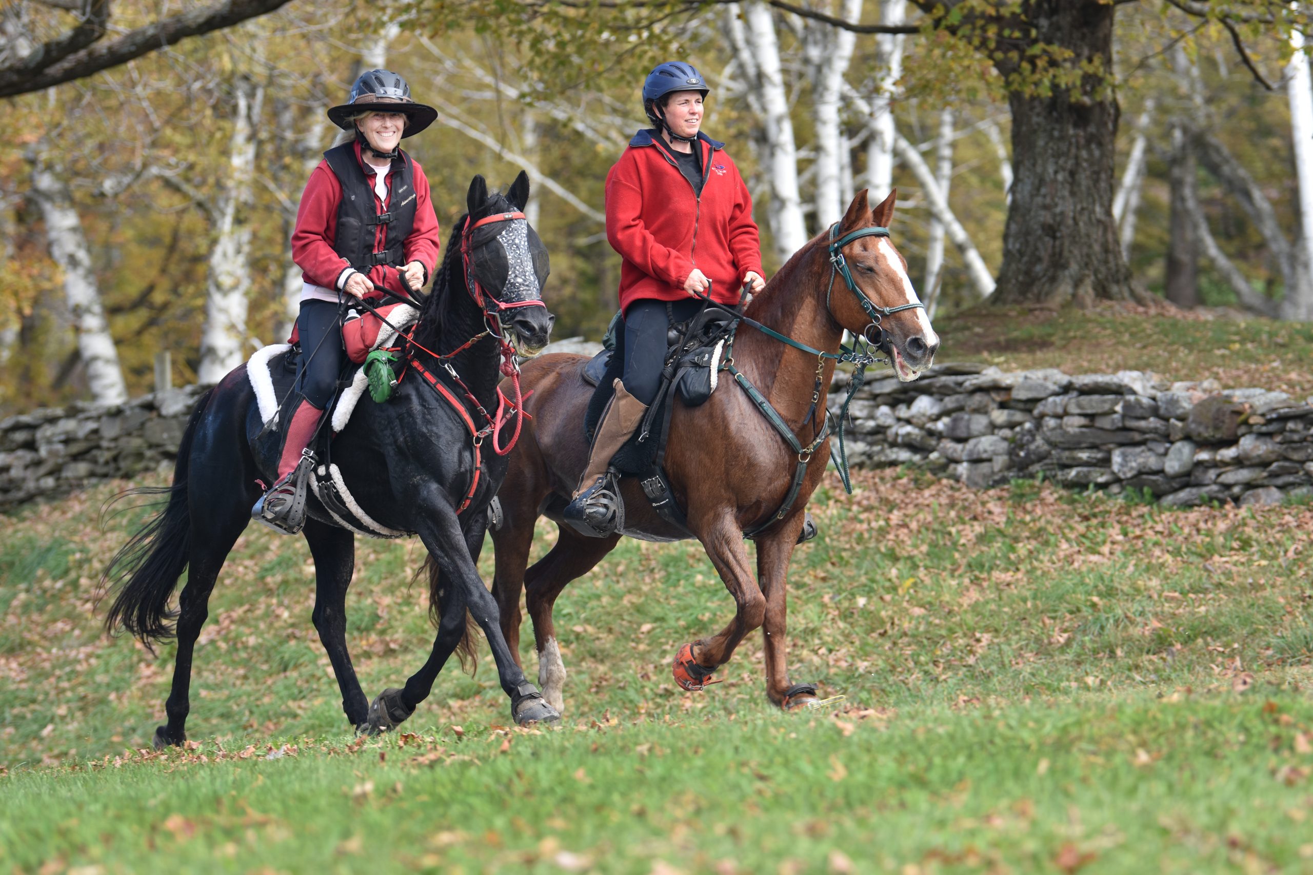 GMHA riders and horses at a historic event